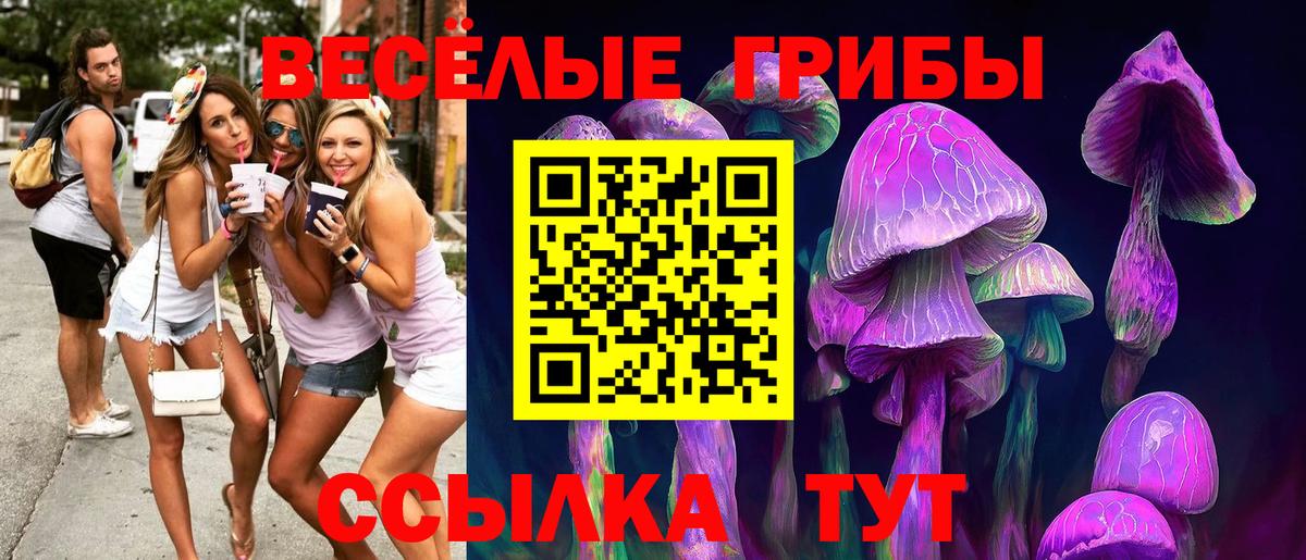 Галлюциногенные грибы GOLDEN TEACHER Красноперекопск